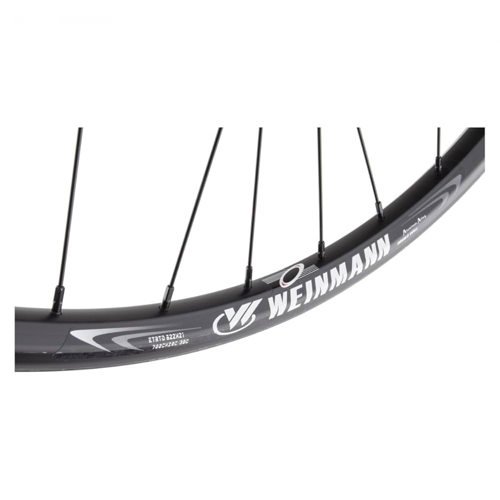 Amazon.com : Wheel Master 29er Alloy Mountain Disc Double